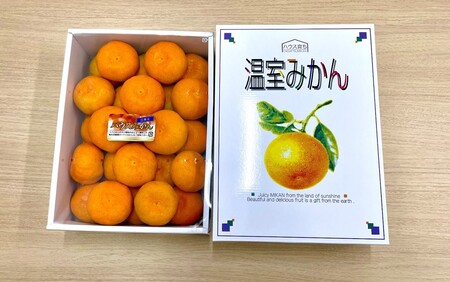 1985R_【7月中旬から発送予定】楠本農園直送！こだわりハウスみかん 約2kg ※化粧箱入り