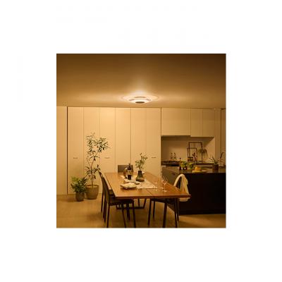 ふるさと納税 大河原町 シーリングライト LED 照明 パネルライト 12畳 CEA-A12DLPW[53751885] |  | 02