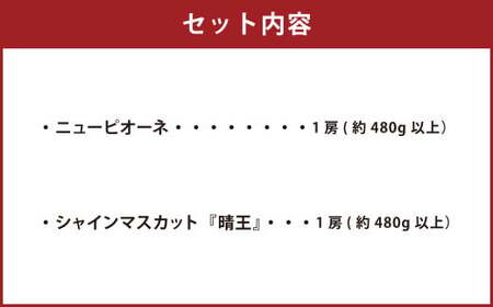 岡山県産 ぶどう詰合 ニューピオーネ 1房・シャインマスカット 晴王 1房 （各480g以上） 化粧箱入り 【2026年8月下旬～10月上旬迄発送予定】 果物 くだもの フルーツ ぶどう ブドウ 葡萄