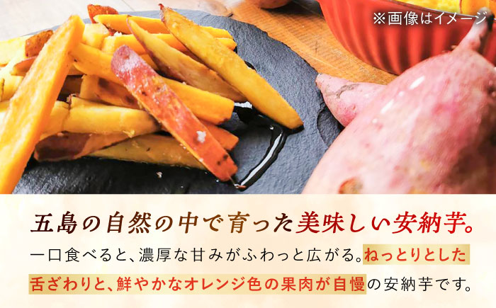潮風と火山灰土が育てた島さつまいも『安納芋』3kg 五島市/あわたに農園 [PGO005]