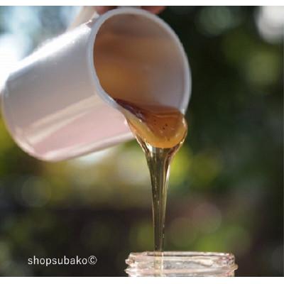 ふるさと納税 長野県 日本ミツバチ百花はちみつ(小)|subako|長野県産|非加熱|無添加| |  | 01