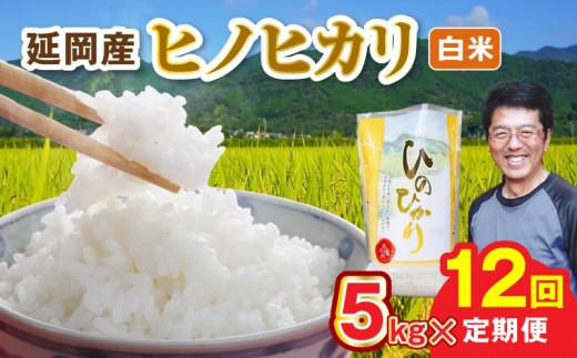 延岡産ヒノヒカリ（白米）5kg 12ヶ月定期便 N0218-YH070