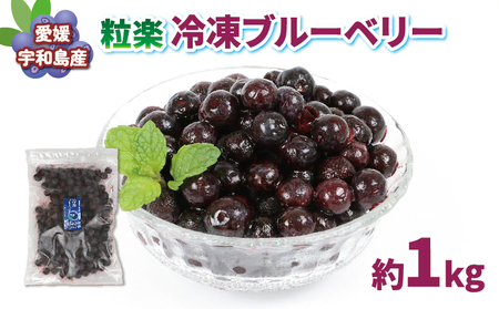 冷凍 ブルーベリー 500g 2袋 計1kg 粒楽 南四国ファーム 冷凍果実 冷凍フルーツ 果物 スムージー ブルーベリージャム 健康 スーパーフード お取り寄せ 自宅用 冷凍ブルーベリー アントシアニン フルーツ 産地直送 数量限定 国産 愛媛 宇和島 J013-035014