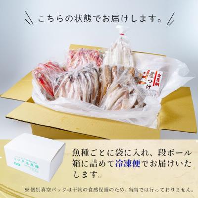 ふるさと納税 伊豆市 【伊豆 ミツダ水産】厳選ひものセット(16枚入) |  | 03