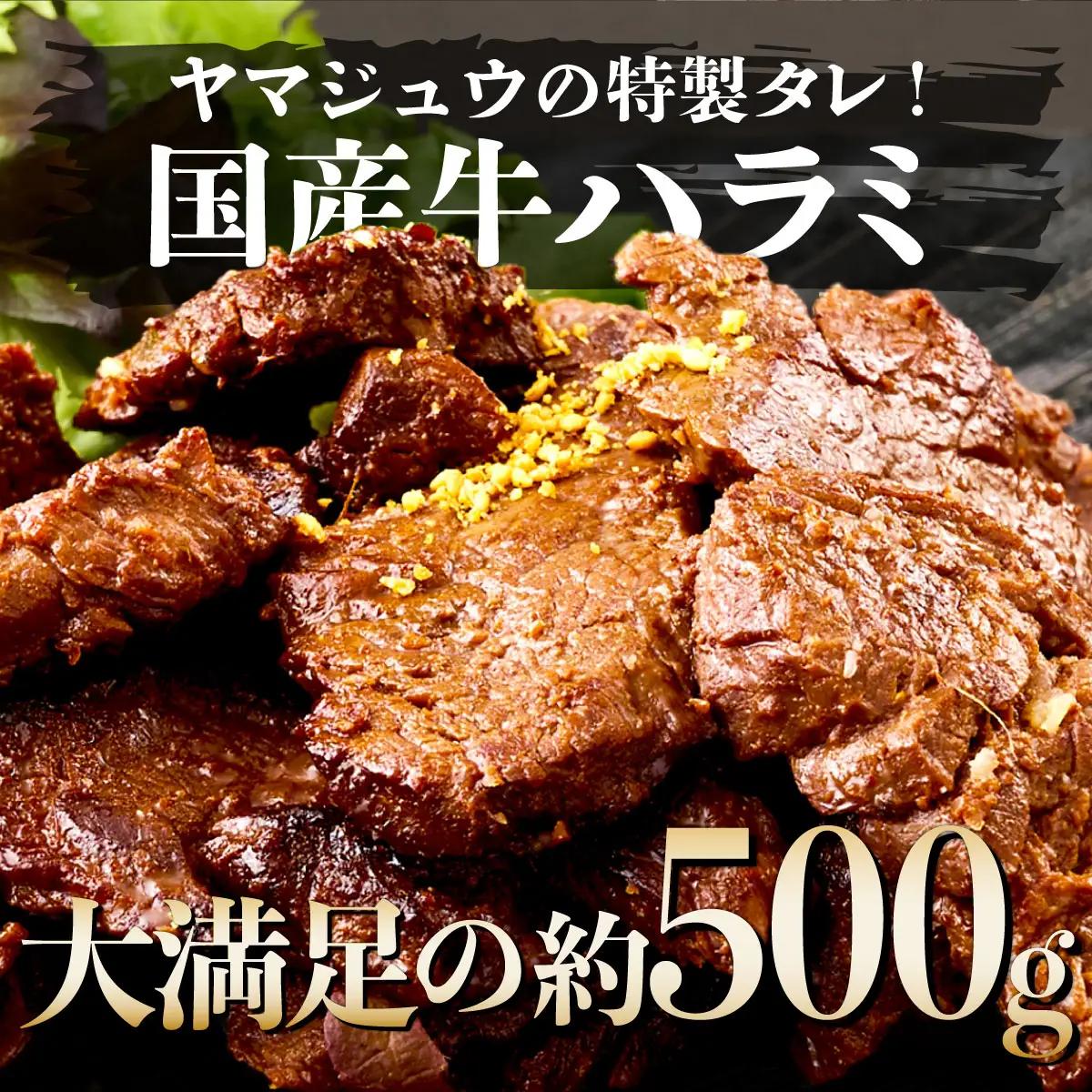 ヤマジュウの特選タレ漬け！和牛ハラミ肉５００g＆国産牛ホルモン３００ｇ