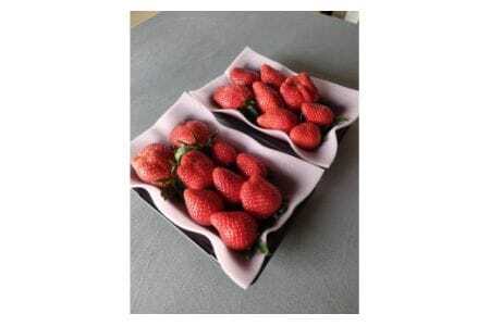 農薬を使わず育てた安心安全 イチゴ すず 8パック いちご 苺 ナノバブル水素水使用 農薬不使用 希少 国産 果物 フルーツ くだもの 冬 旬 産地直送 農家直送 産直 甘い デザート スイーツ 家庭