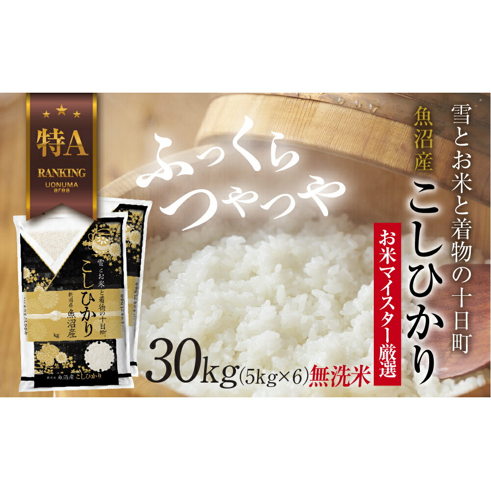 【ふるさと納税】｜無洗米｜ 魚沼産 コシヒカリ 5kg ×6袋 計30kg　お届け：入金確認後、順次発送