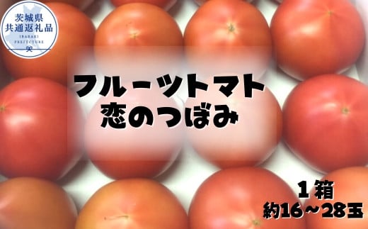 
トマト　恋のつぼみ　1箱（16～28玉）(茨城県共通返礼品／行方市)
