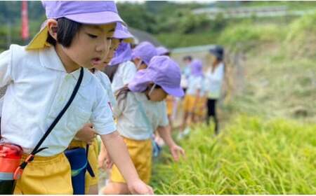 有田町の子どもたちが作ったお米で地域を活性化したい！キッズスタートアップ 有田の棚田米 おいしい米 3kg【大吉村】有田町 米 おいしい 3キロ 3kg 棚田 地域 活性化 地域おこし 保育園 保育園