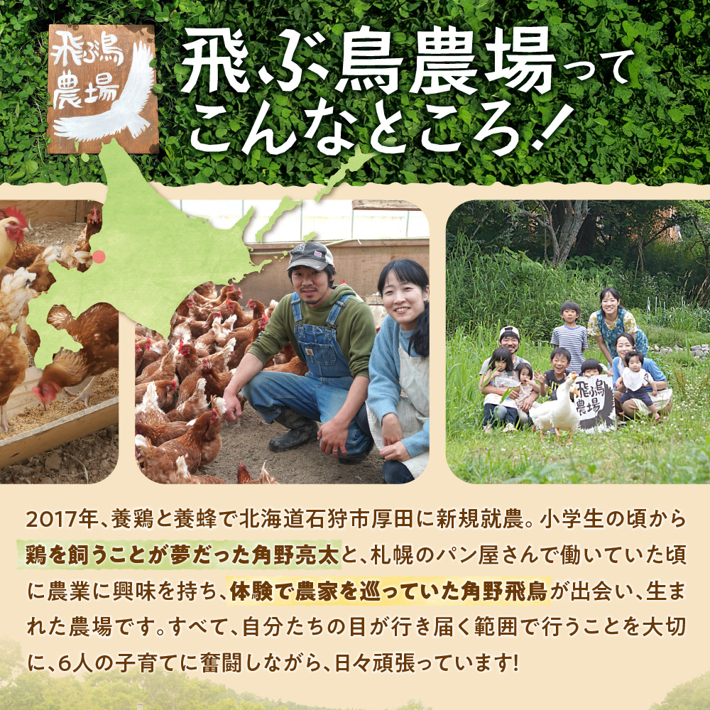 飛ぶ鳥農場　海の街たまごを使用したシフォンケーキ　1箱（8カット）