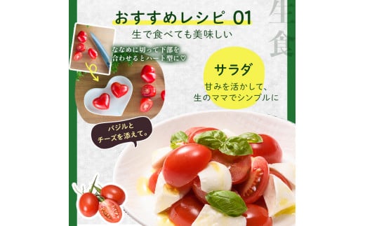 FKK19-874_【2カ月定期】アイコトマト・カラフルトマト 各1kg