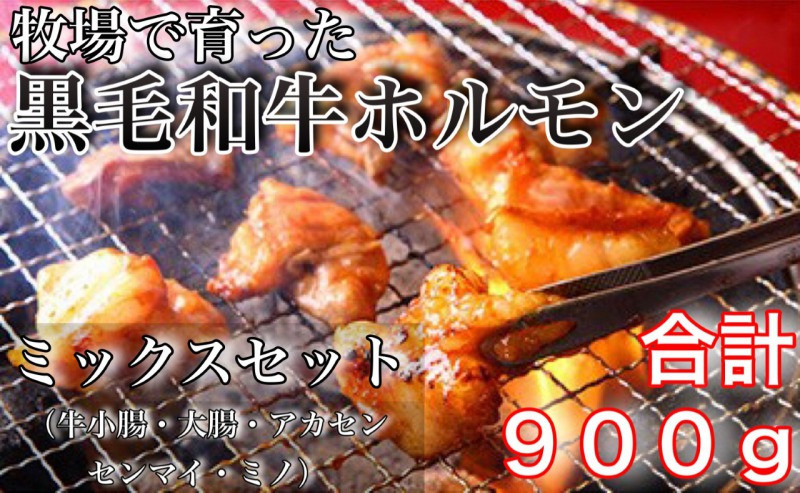 
                  牧草で育った黒毛和牛ホルモンミックスセット900ｇ
                
