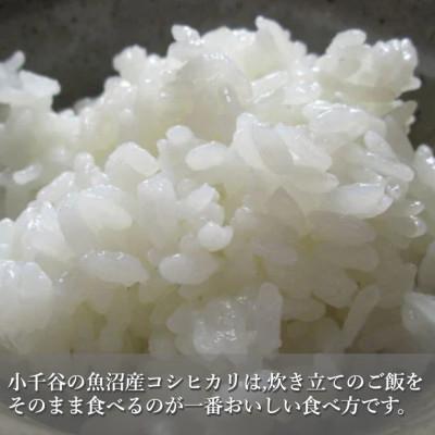 ふるさと納税 小千谷市 令和7年産 魚沼産 コシヒカリ 精米 10kg　共栄農工社のおいしいお米 新潟県 小千谷市 |  | 01