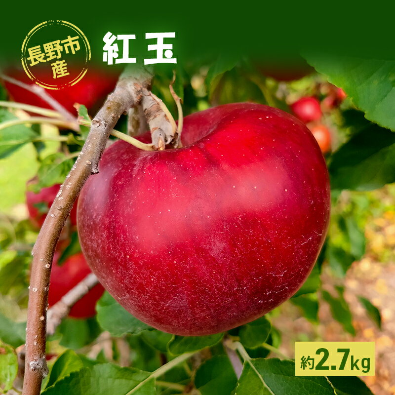 【ふるさと納税】長野市産「紅玉」約2.7kg 　お届け：2025年9月中旬～下旬
