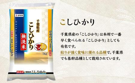 令和7年産　千葉県産 無洗米コシヒカリ5kg　米 お米 こめ コメ 白米 精米 ブランド米 こしひかり ご飯 ごはん おにぎり お弁当