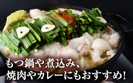 【全6回定期便】 赤牛 ホルモン 500g（250g×2パック） / お肉 肉 牛肉 あか牛 小腸 シロホルモン もつ 熊本県産 冷凍【五右衛門フーズ熊本店】[AYBV038]