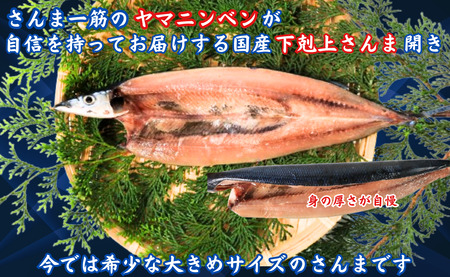 さんま 訳ないでぇ さんま開き16枚