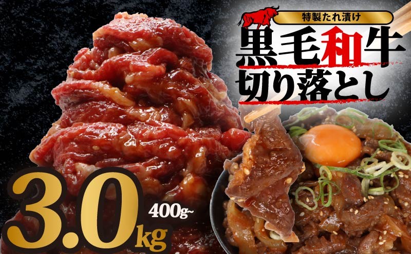 
                  黒毛和牛 切り落とし 400g~3kg 小分け 牛肉  牛 肉 和牛 切落し きりおとし 定期便 国産 大和牛 ブランド牛 冷凍 スライス タレ 特製タレ 漬け 秘伝 たれ 焼き肉 焼肉 牛丼 丼 大容量 BBQ バーベキュー 味付き おすすめ 人気 贈答 ギフト 奈良県 奈良市 近藤精肉店
                