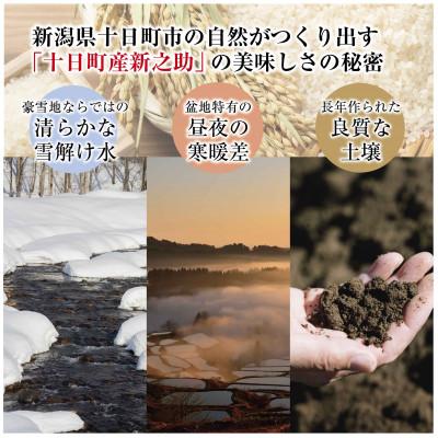ふるさと納税 十日町市 【令和6年産】新潟の新しいプレミアム米、魚沼産「新之助」2kg×1袋 新潟県 十日町市 |  | 02