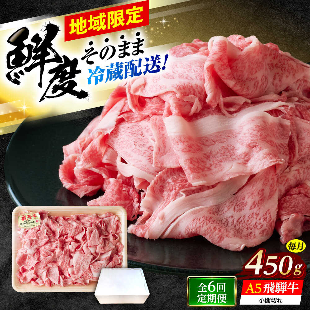 【ふるさと納税】【6回定期便】 ※冷蔵配送/地域限定※ 飛騨牛 小間切 450g 瑞浪市 / きなぁた瑞浪 和牛 国産 岐阜県産[AZCI069]