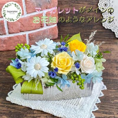 ふるさと納税 春日部市 プリザーブドフラワーアレンジ【ピュール】 春日部市 シュガーパイン