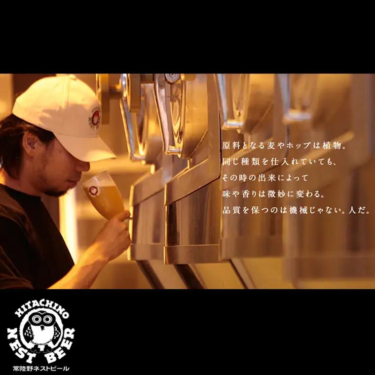 【 お中元 熨斗 付き 】 ハニーヴァイツェン 入り 飲み比べ 3種 12本 セット C 常陸野ネストビール ビール クラフトビール ネストビール 木内酒造 飲み比べ はちみつ 夏ギフト [CJ017
