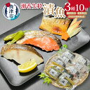 【ふるさと納税】 漬魚 銀鱈 紅鮭 鯖 詰合せ 魚 冷凍 粕漬 味噌粕漬 酒肴 天然 個包装 焼津 計10切 a15-566