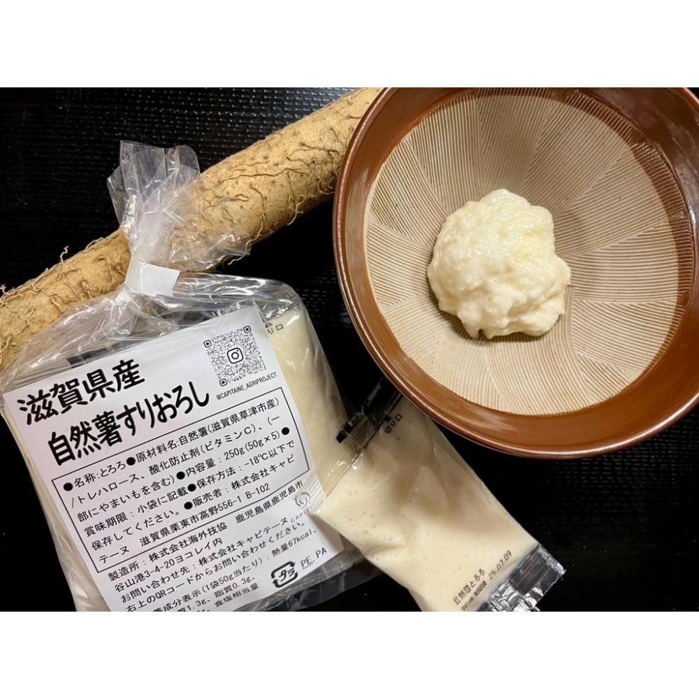 【ふるさと納税】自然薯 すりおろし 冷凍 50g×5パック