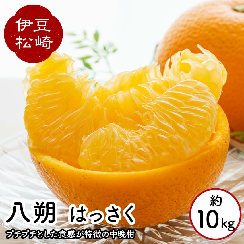 【ふるさと納税】婆娑羅農産 八朔 はっさく 10kg
