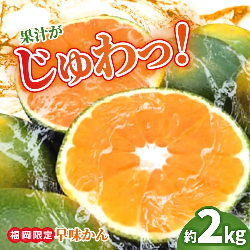 【先行予約】福岡 早みかん 約2kg BGAG013 果物 温州みかん