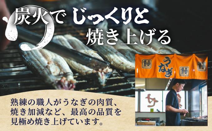 うなぎの特大白焼き（2尾）230g以上×2尾　AE05 （2尾）通常受付