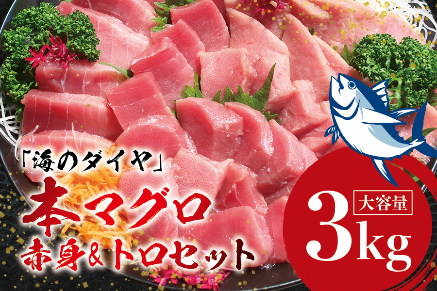 
＼ 配送時期が選べる ／本マグロ養殖）トロ＆赤身セット 3kg / 中トロ 中とろ まぐろ マグロ 鮪 赤身 柵 じゃばらまぐろ
