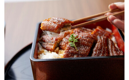 〈堀忠〉鰻蒲焼き　大2尾【頒布会3回コース】〈高島屋選定品〉