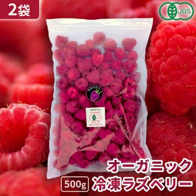 ふるさと納税 帯広市 【令和8年8月以降出荷】有機JAS認証 冷凍ラズベリー2種食べ比べ 1kg (500g×2袋)