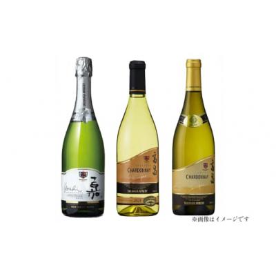 ふるさと納税 高畠町 【高畠ワイナリー】シャルドネ飲み比べ3本セット