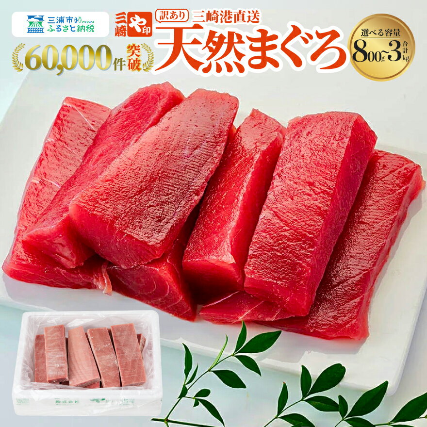 三崎の天然鮪3kg これを選べば間違いなし！とにかくたくさん食べたい人に