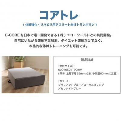ふるさと納税 玖珠町 「コアトレ」 体幹強化 リハビリ ダイエット用 トランポリン　ブリリアントブルー |  | 03