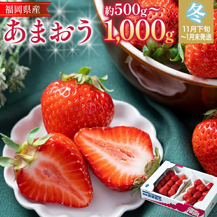 【ふるさと納税】福岡産【冬】あまおう いちご 苺 果物 フルーツ 九州産 福岡県産 冷蔵 送料無料 【11月下旬発送開始予定】 イチゴ フルーツ 果物 くだもの ブランド 国産 甘味 果汁