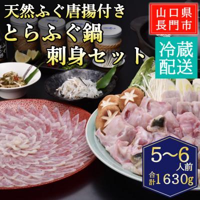 ふるさと納税 長門市 天然ふぐ唐揚付き　とらふぐ鍋・とらふぐ刺身セット5-6人前/冷蔵