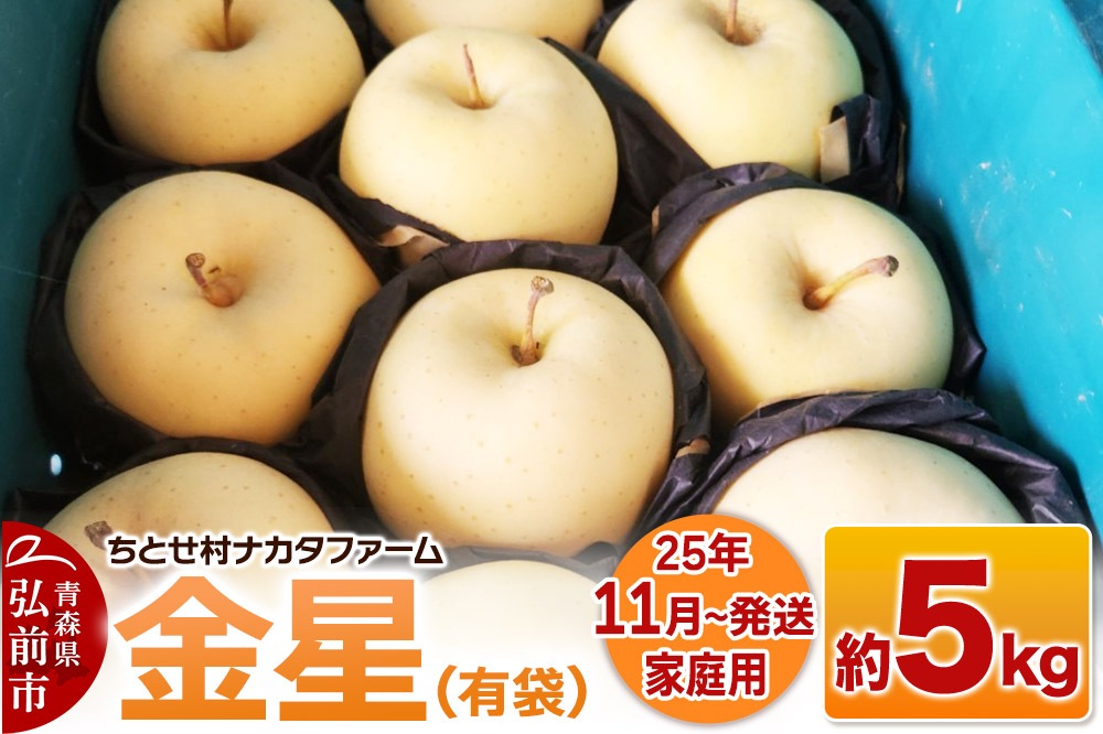 【25年11月発送】りんご【家庭用】金星（有袋）約5kg