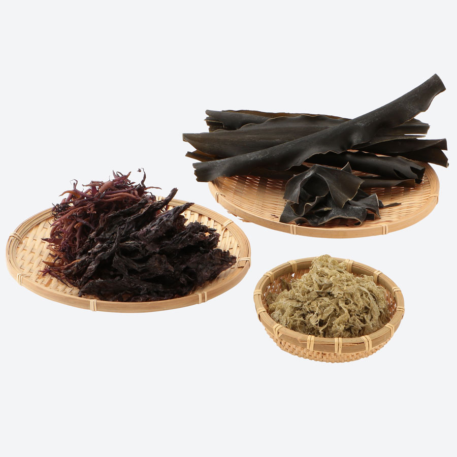 尻屋の乾物セレクション５種セット