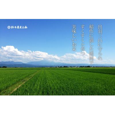 ふるさと納税 鶴岡市 山形県鶴岡市 令和6年産 おやじの米 JAS有機栽培米 雪若丸 精米 5kg |  | 01