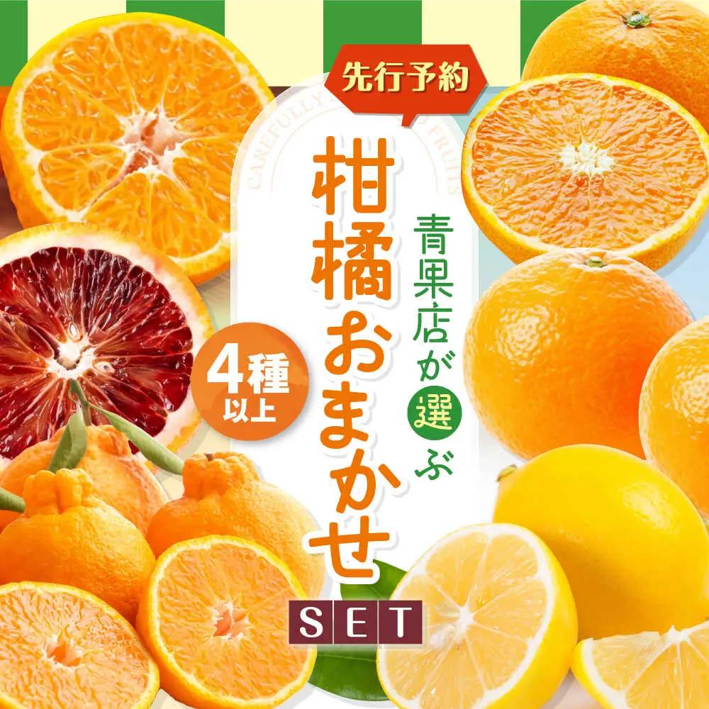 柑橘【3月上旬発送】柑橘おまかせセット[AGBN053]