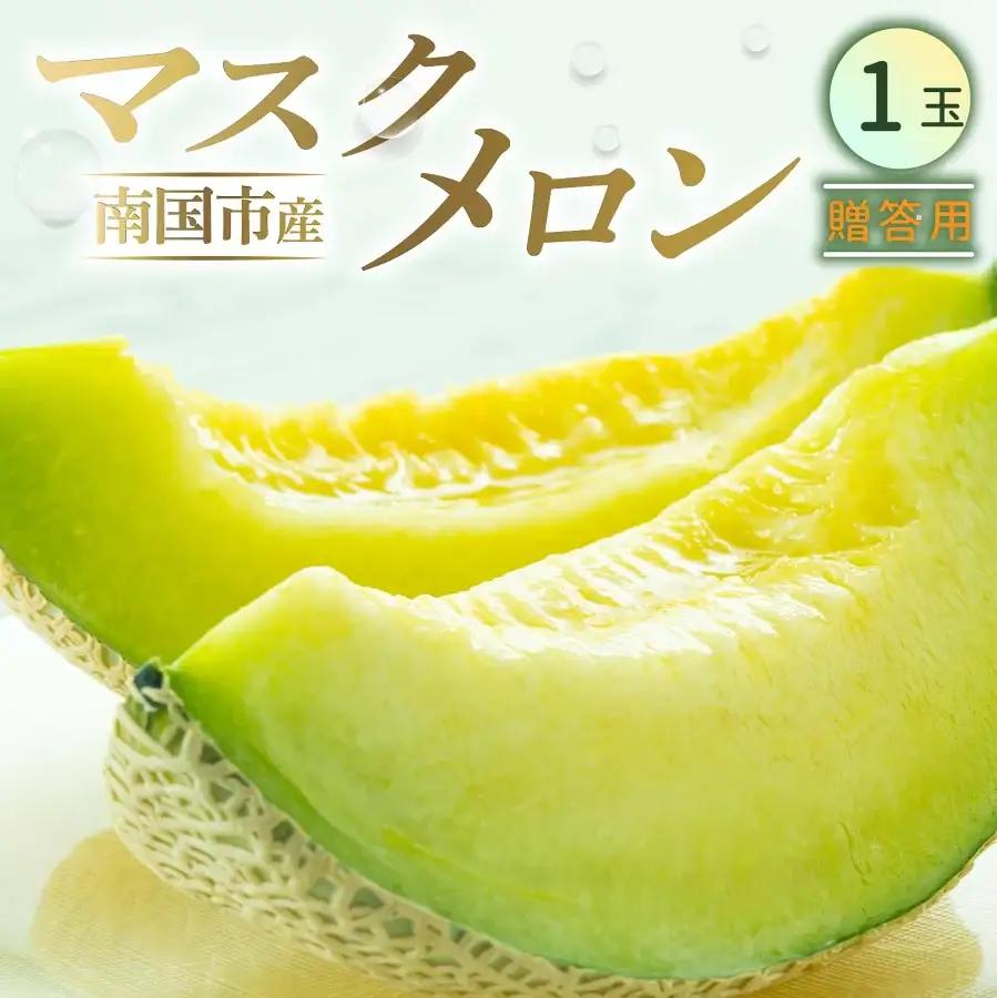 【先行予約】マスクメロン（贈答用） 1玉入 青肉品種 高級メロン！ ／ マスクメロン 果物 フルーツ ギフト 農家直送 NE014