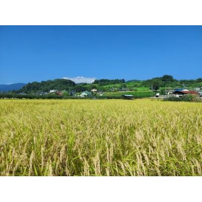 ふるさと納税 長野市 コシヒカリ　精米　10kg |  | 01
