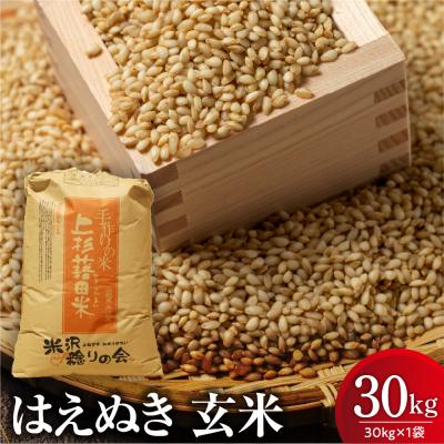 ふるさと納税 米沢市 【先行予約】令和8年産 はえぬき 玄米 30kg ( 30kg × 1袋 ) 2026年産 米沢産