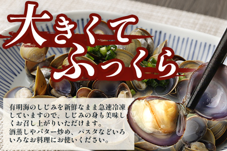 B-391　冷凍シジミ2.5kg（500g×5袋）