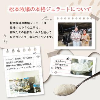 松本牧場アイス定期便（12個入り×2回） ～本格ジェラート＆シャーベット～