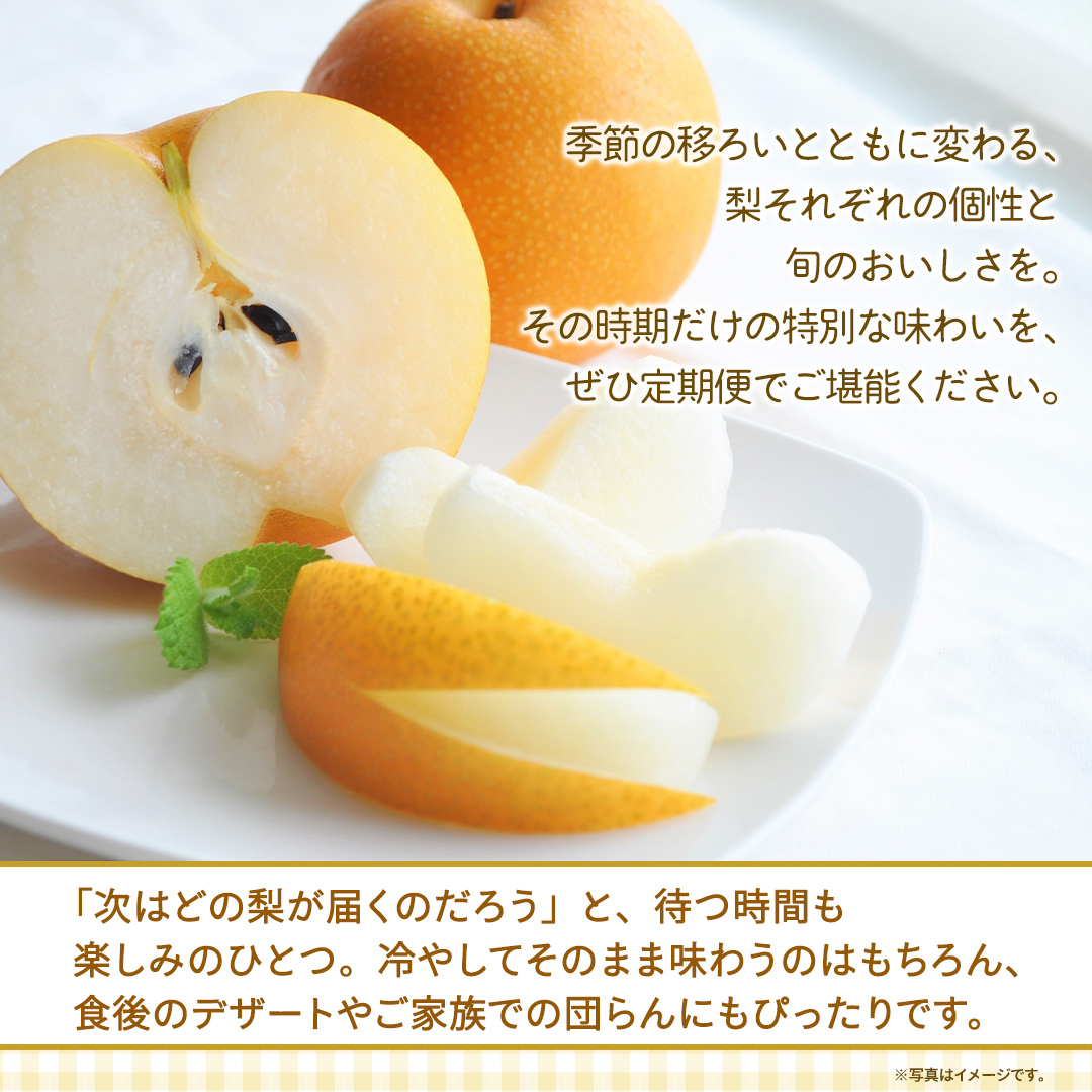【定期便】3か月連続でお届け！ 旬の梨 おまかせ 約3kg（茨城県共通返礼品 [梨]：大子町産） 高糖度 ギフト 贈り物 プレゼント フルーツ なし ナシ 和梨  梨 果実 旬のフルーツ お取り寄せ 