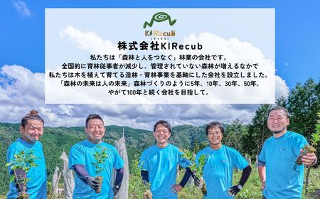 ゆすはらヒノキの木製ネクタイピン「Mori no ネクタイピン-森林-」